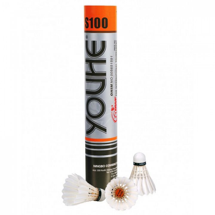 Youhe S100
